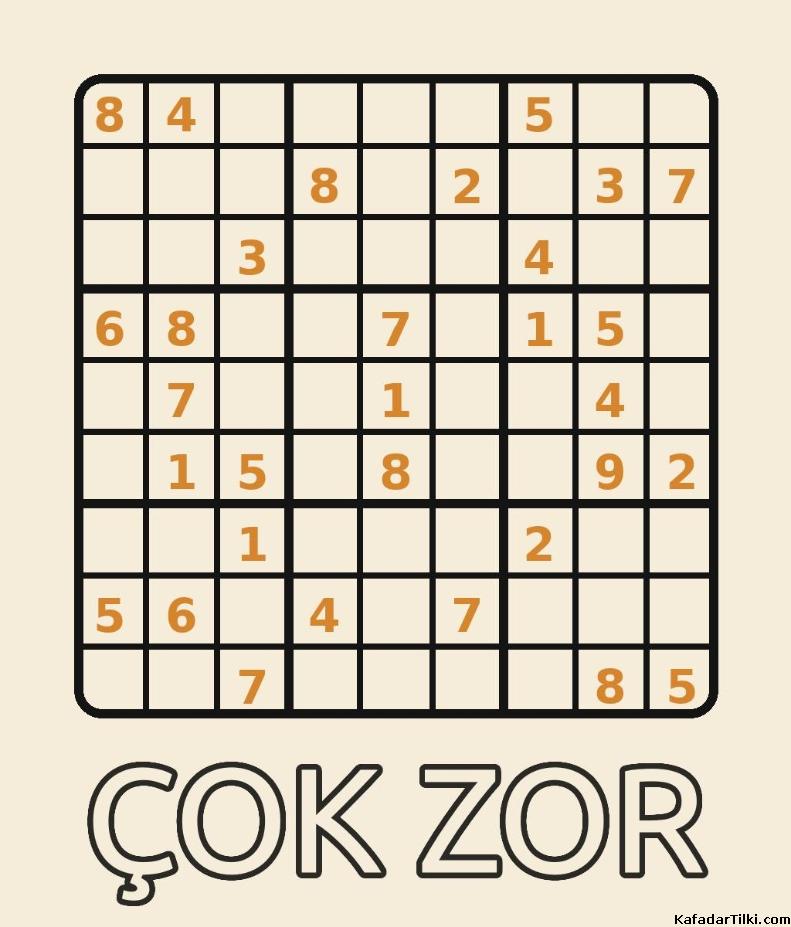 Çok Zor Sudoku, Kitap 22